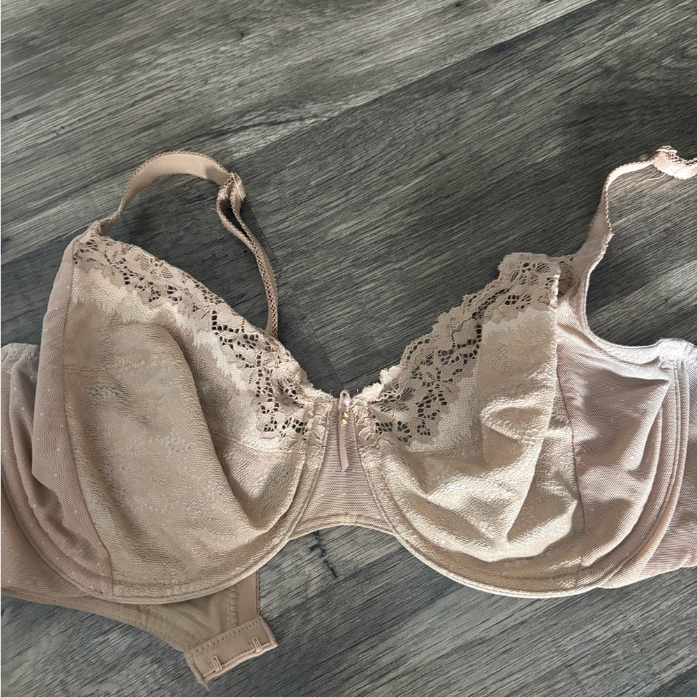 Wacoal Lace Accent Bra in Light Beige